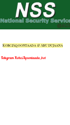 SIRDOONKII NSS.pdf